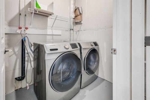 69 Skyview Point Common Ne, Calgary, AB - Indoor Photo Showing Laundry Room