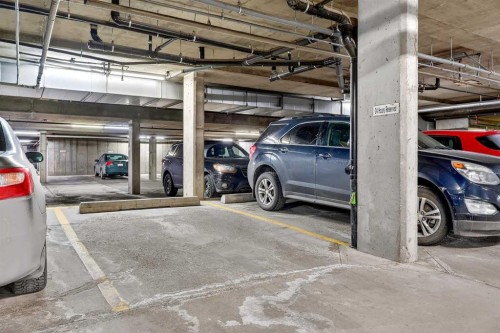 210-165 Manora Place Ne, Calgary, AB - Indoor Photo Showing Garage