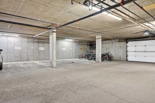 210-165 Manora Place Ne, Calgary, AB - Indoor Photo Showing Garage
