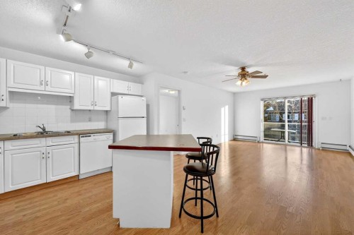 210-165 Manora Place Ne, Calgary, AB - Indoor Photo Showing Kitchen With Double Sink