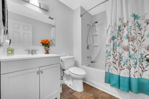 64 Castledale Crescent Ne, Calgary, AB - Indoor Photo Showing Bathroom