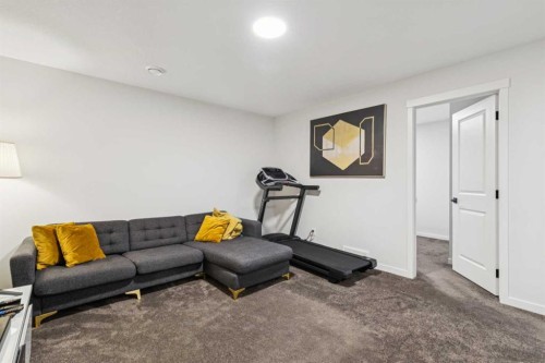 86 Creekside Way Sw, Calgary, AB - Indoor Photo Showing Gym Room