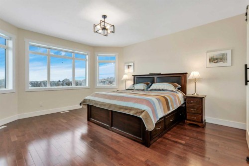 533 Birch Close, Birchcliff, AB - Indoor Photo Showing Bedroom