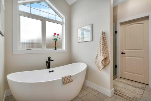 533 Birch Close, Birchcliff, AB - Indoor Photo Showing Bathroom