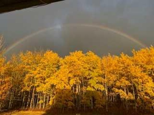 533 Birch Close, Birchcliff, AB - Outdoor With View