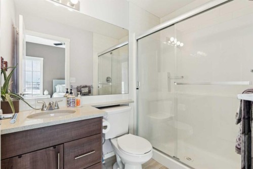 4401-99 Copperstone Park Se, Calgary, AB - Indoor Photo Showing Bathroom