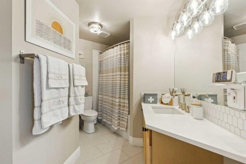 305-4 14 Street Nw, Calgary, AB - Indoor Photo Showing Bathroom
