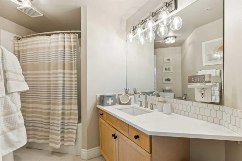 305-4 14 Street Nw, Calgary, AB - Indoor Photo Showing Bathroom
