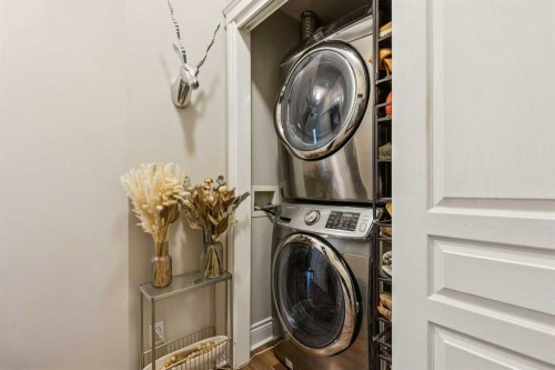305-4 14 Street Nw, Calgary, AB - Indoor Photo Showing Laundry Room
