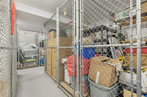 305-4 14 Street Nw, Calgary, AB - Indoor With Storage