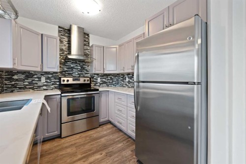 61 Applemont Place Se, Calgary, AB - Indoor Photo Showing Kitchen With Double Sink With Upgraded Kitchen