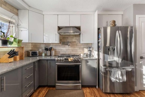 380 Maddock Crescent Ne, Calgary, AB - Indoor Photo Showing Kitchen With Stainless Steel Kitchen With Upgraded Kitchen