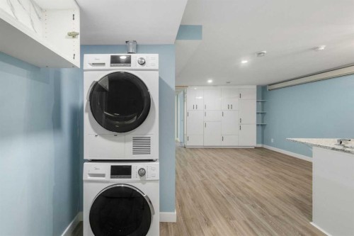 380 Maddock Crescent Ne, Calgary, AB - Indoor Photo Showing Laundry Room