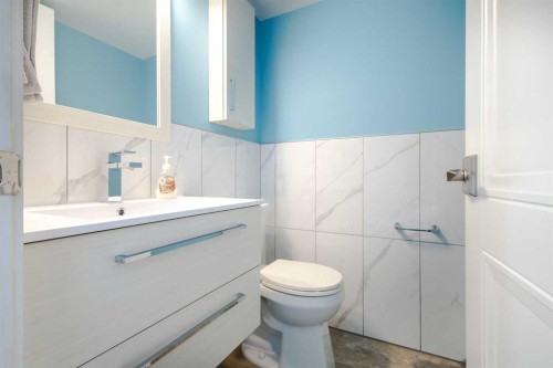 380 Maddock Crescent Ne, Calgary, AB - Indoor Photo Showing Bathroom