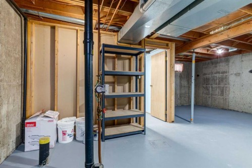 60 Bedford Circle Ne, Calgary, AB - Indoor Photo Showing Basement
