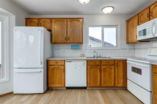 60 Bedford Circle Ne, Calgary, AB - Indoor Photo Showing Kitchen With Double Sink
