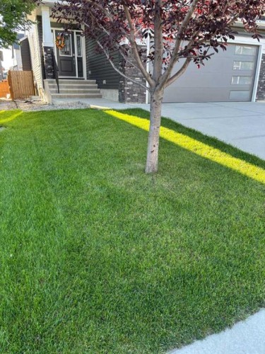 355 Evanston Way Nw, Calgary, AB - Outdoor