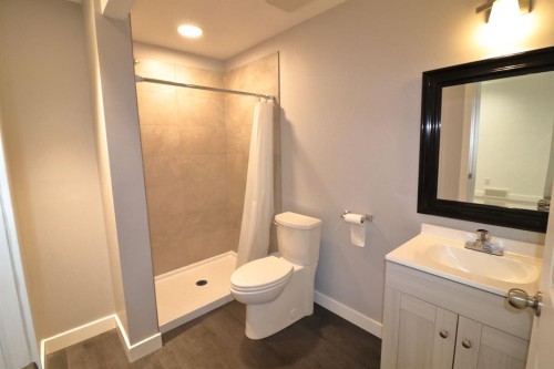 656 Cranston Drive Se, Calgary, AB - Indoor Photo Showing Bathroom