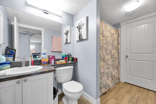 102-31 Everridge Square Sw, Calgary, AB - Indoor Photo Showing Bathroom