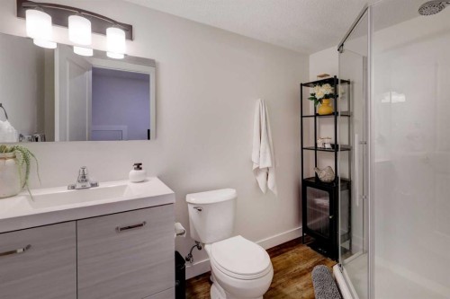 1601 Chinook Gate Drive Sw, Airdrie, AB - Indoor Photo Showing Bathroom