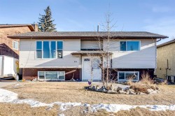84 Big Springs Hill SE Airdrie, AB T4A 1L3