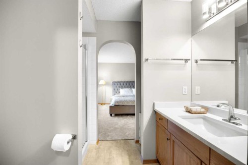 11 Citadel Meadow Crescent Nw, Calgary, AB - Indoor Photo Showing Bathroom