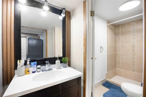 11 Citadel Meadow Crescent Nw, Calgary, AB - Indoor Photo Showing Bathroom