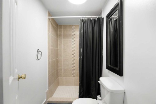 11 Citadel Meadow Crescent Nw, Calgary, AB - Indoor Photo Showing Bathroom