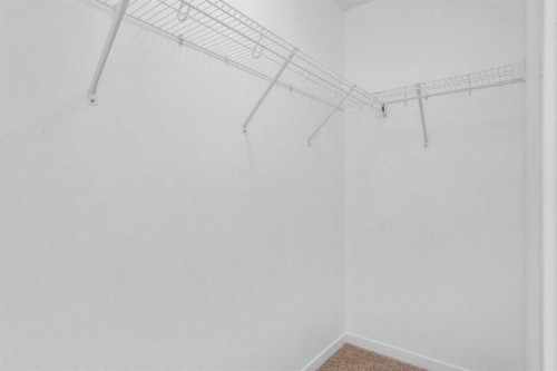 114 New Brighton Landing Se, Calgary, AB - Indoor With Storage