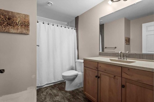 4504 70 Street Nw, Calgary, AB - Indoor Photo Showing Bathroom