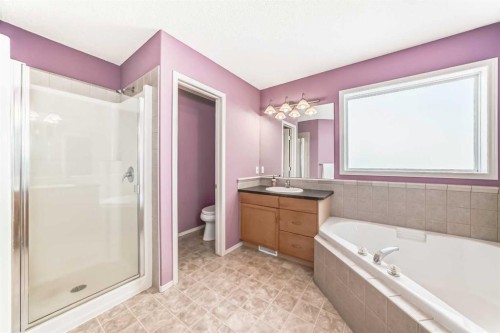 158 Invermere Drive, Chestermere, AB - Indoor Photo Showing Bathroom
