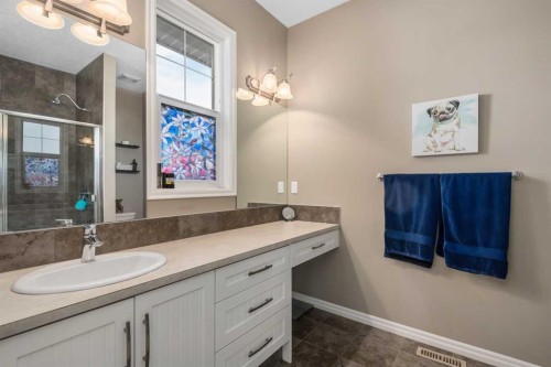 390 River Heights Crescent, Cochrane, AB - Indoor Photo Showing Bathroom