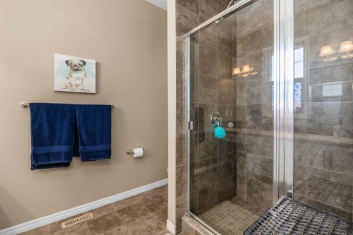 390 River Heights Crescent, Cochrane, AB - Indoor Photo Showing Bathroom