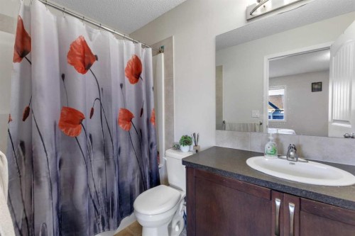 8370 Saddlebrook Drive Ne, Calgary, AB - Indoor Photo Showing Bathroom
