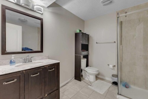 8370 Saddlebrook Drive Ne, Calgary, AB - Indoor Photo Showing Bathroom