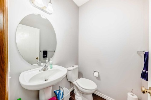 38 Mt Douglas Close Se, Calgary, AB - Indoor Photo Showing Bathroom
