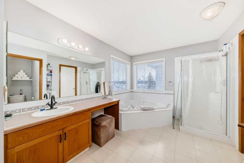 38 Mt Douglas Close Se, Calgary, AB - Indoor Photo Showing Bathroom