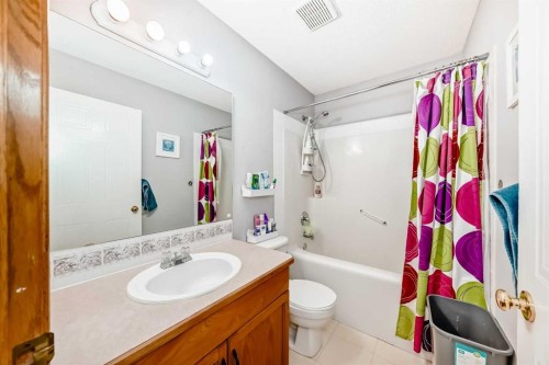 38 Mt Douglas Close Se, Calgary, AB - Indoor Photo Showing Bathroom