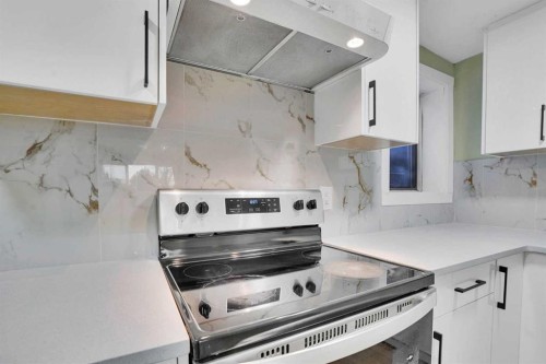 3908 49 Street Ne, Calgary, AB - Indoor Photo Showing Kitchen