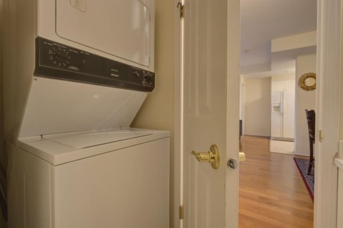 1406-683 10 Street Sw, Calgary, AB - Indoor Photo Showing Laundry Room