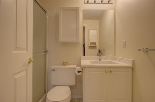 1406-683 10 Street Sw, Calgary, AB - Indoor Photo Showing Bathroom