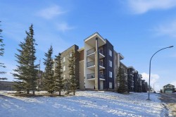 210-7110 80 Avenue NE Calgary, AB T3T 0N4