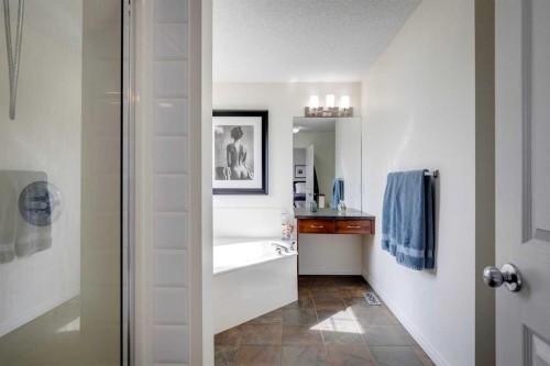 15 Copperfield Close Se, Calgary, AB - Indoor Photo Showing Bathroom