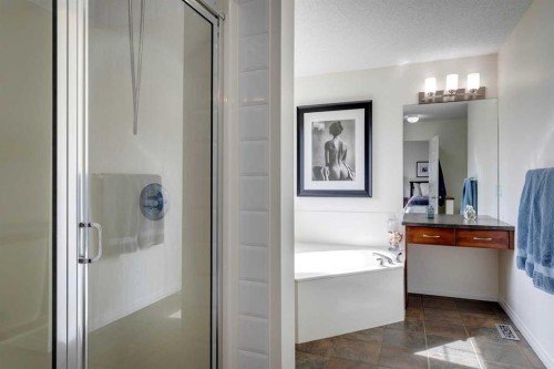 15 Copperfield Close Se, Calgary, AB - Indoor Photo Showing Bathroom