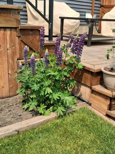 620 Edgefield Street, Strathmore, AB - Outdoor