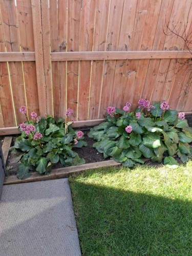 620 Edgefield Street, Strathmore, AB - Outdoor