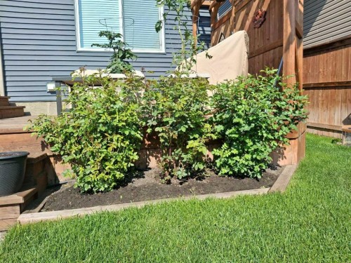 620 Edgefield Street, Strathmore, AB - Outdoor