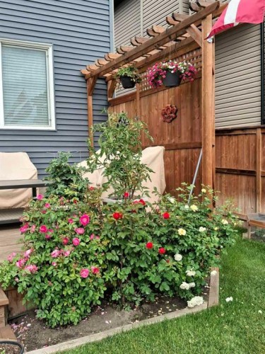 620 Edgefield Street, Strathmore, AB - Outdoor