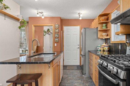 113 Sheep River Drive, Okotoks, AB - Indoor Photo Showing Kitchen With Stainless Steel Kitchen With Double Sink With Upgraded Kitchen