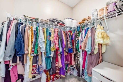 36 Red Embers Row Ne, Calgary, AB - Indoor With Storage